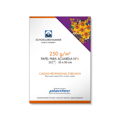 Block Papel Torchon 20 Hjs 250 Grs 35 X 50 cm