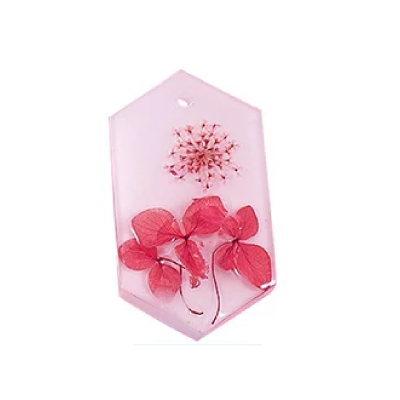 Molde Para Resina Epoxi Chapita MD 24 - Imagen 3