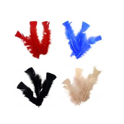 Pluma 156 X 50 Unidades