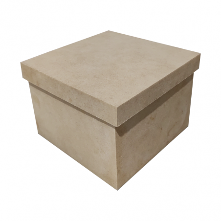 Caja Cuadrada 20 X 20 X 10 Cm