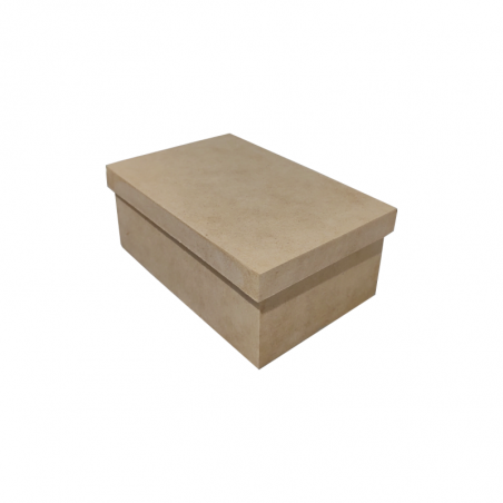 Caja De Zapatos 13 X 20 X 8 Cm