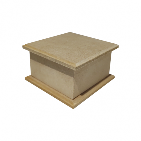 Caja Hormiga 8 X 8 X 4 Cm