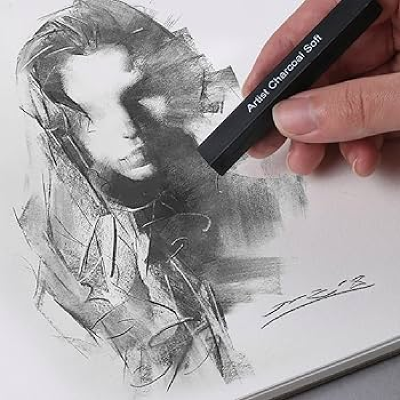 Carbón Comprimido X 6 Unidades - Imagen 2