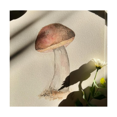 Hoja Montval GF 300 Gr 55 X 75 Cm